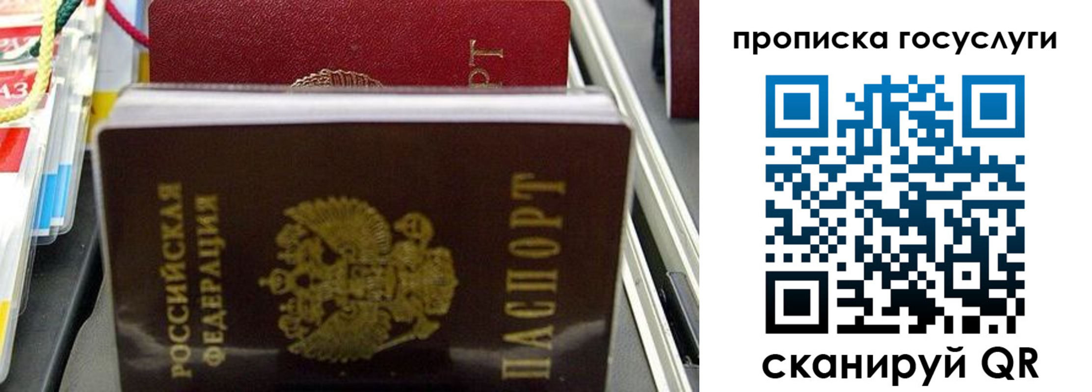 где прописаться в Ногинске